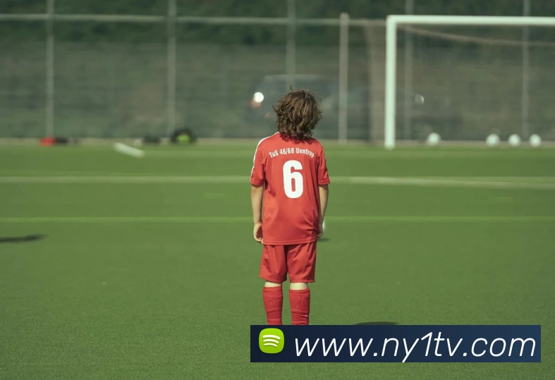 对战数据统计